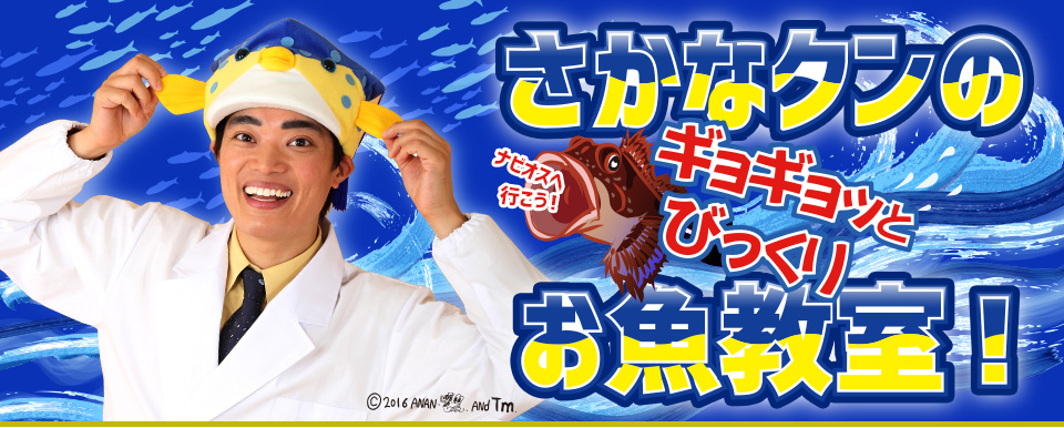 さかなクンのギョギョッとびっくりお魚教室！ ナビオスへ行こう！